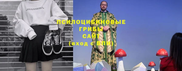 спиды Гусев