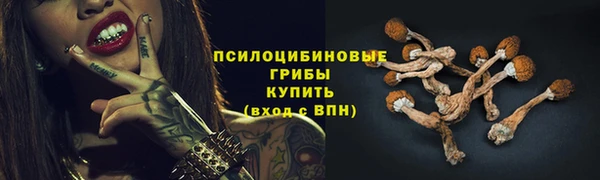 эйфоретик Гусиноозёрск
