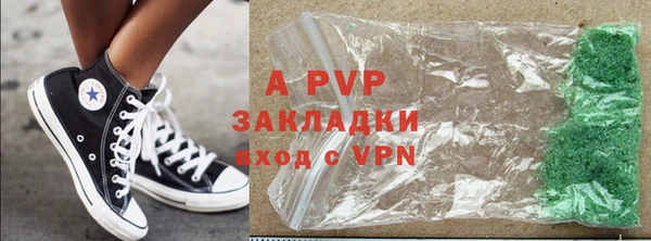 спиды Гусев