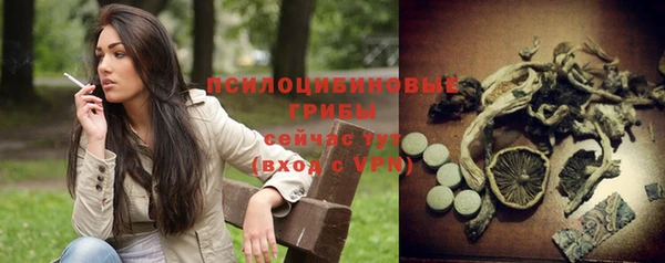 эйфоретик Гусиноозёрск